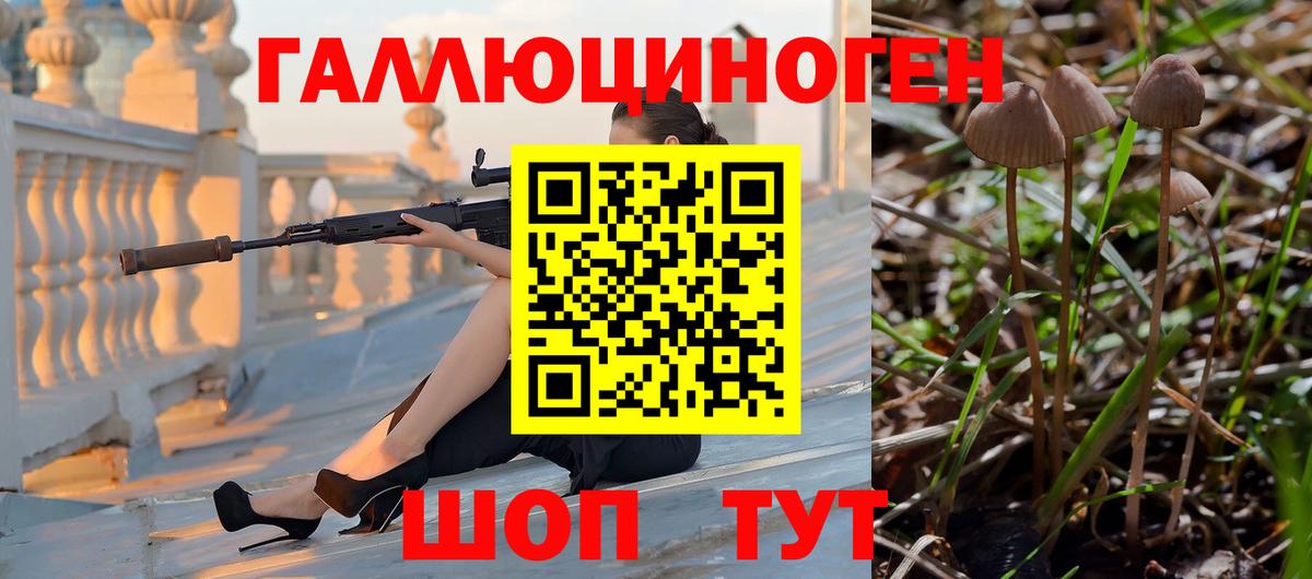 Старая Купавна  Псилоцибиновые грибы MAGIC MUSHROOMS  Вход с VPN 